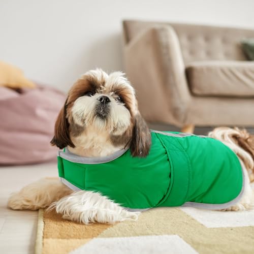 Queenmore Dog Winter Coat, Cold Weather Fleece Dog Jacket, Small Dog Coat - color: Green, size: X-Small