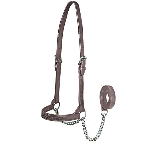 Derby Originals Premium Fancy Stitch Flat Leather Cattle Show Halter – Adjustable Fit with 48" Lead and 14" Chain, Small/Medium/Large – 1-Year Warranty - color: Havana, size: Small (350-700lbs)