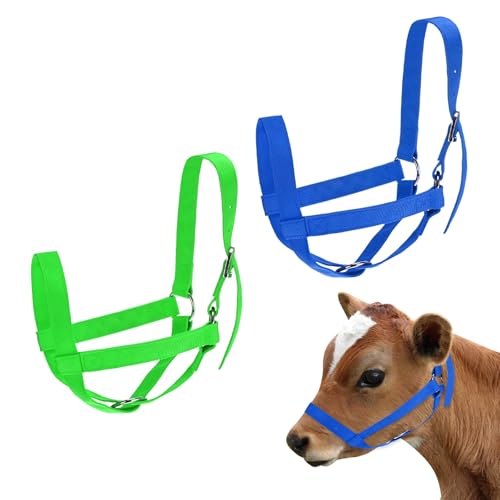 M METERXITY 2-Pack Adjustable Cattle Cow Calf Halter, 15.74"-19.68" Nylon Livestock Cow Halter for Miniature Horse/Donkey/Goat/Cattle [Green/Blue]