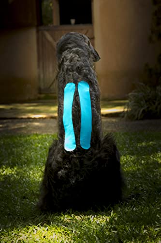 VetkinTape Canine & Equine Kinesiology Tape | Veterinary Tape 2.4" - color: Lime
