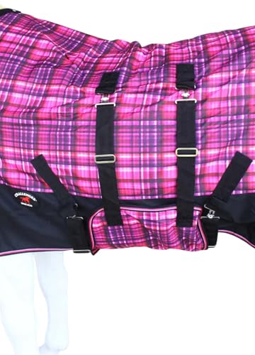 Challenger 1200D Turnout Lightweight Rain Horse Winter Blanket Sheet 3B108 - color: Berry Plaid, size: 76 inches