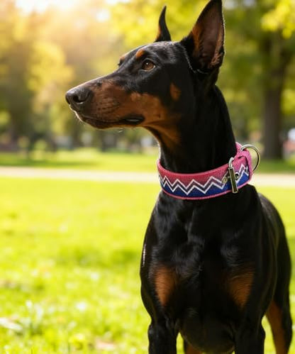 Dog Collar for Large Dogs,2 in Wide Heavy Duty,Pressure-Relief Padded, B-M - color: Cotton Wave, size: M