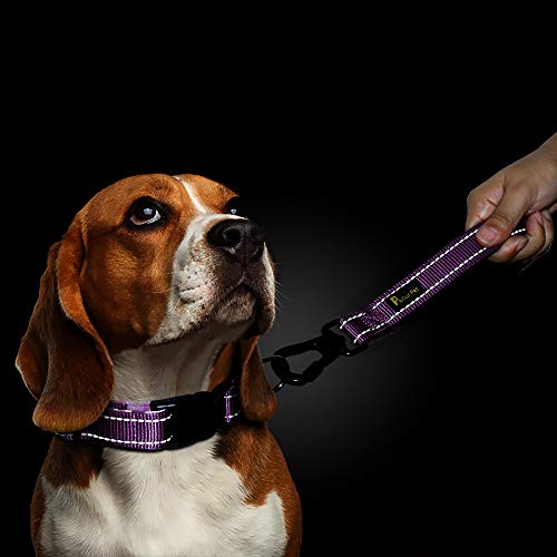 PLUTUS PET 10” Short Dog Leash, Reflective Nylon Padded Handle, Strong Traffic Leash with Carabiner Clip, Perfect for Large or Medium Dogs（10”，Purple | Reflective, Heavy Duty Strong Nylon, Traffic Leash with Carabiner Clip for Training Walking (10", Purpl