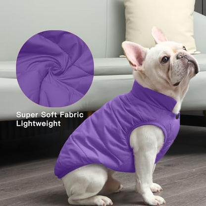 JoyDaog Fleece Lined Dog Jacket for Small Dogs,Winter Dog Coat,Purple M - color: Purple, size: Medium