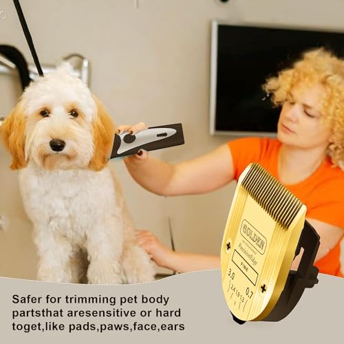 Adjustable 5 in 1 Blades Compatible with WAHL Arco,Bravura - color: Gold-1