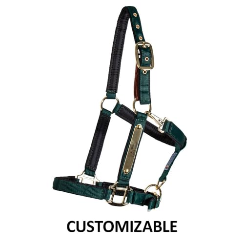 Dura-Tech Deluxe Fully Padded Breakaway Horse Halter | 1” Double Ply Nylon Web Overlay | Heavy-Duty Hardware | Semi Custom Fit | 3-Point Cheek Attachment - color: Navy, size: Full Size