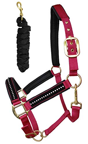 CHALLENGER Nylon Horse Neoprene Padded Purple Halter Brass Hardware w/Rhinestones 606172PK - color: Pink