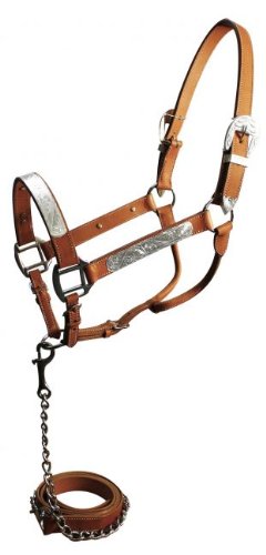 Leather Show Halter w/Silver Accents & Matching Lead