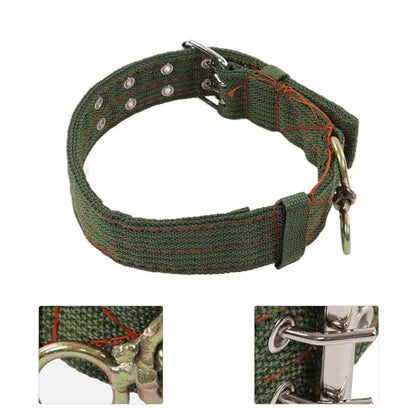 Sheep Collar, Non-Slip Adjustable Turn Buckle Collar Farm Animal Goat TieCollar with 2-Rows Metal Buckle and Traction Chain for Cow Goat Sheep Nylon Neck Strap Cow Collar(S) - size: S