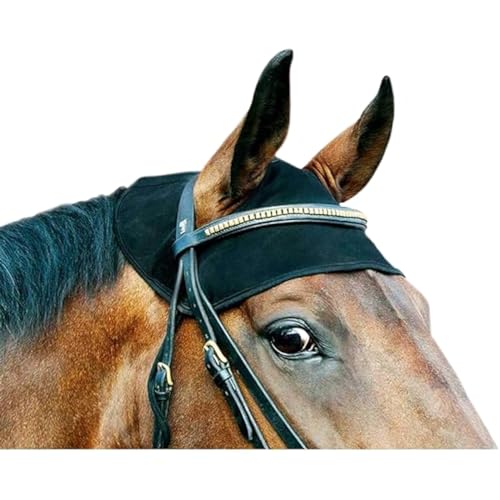 Back on Track Halter - size: Large