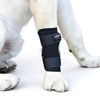 Pet Hind Leg Support Brace, Black, Size M, Joint Protection for Senior Dogs and Cats with Weakness - size: M