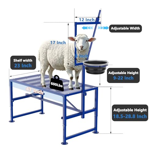 Goat Milking Stand Blue with Removable Feed Bin and Black Goat Ramp for Our Goat Stand 600 Lbs
