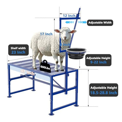 Goat Milking Stand Blue with Removable Feed Bin and Black Goat Ramp for Our Goat Stand 600 Lbs