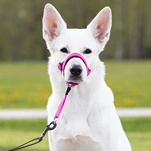 GoodBoy Dog Head Halter with Safety Strap - Stops Heavy Pulling On The Leash - Padded Headcollar for Small Medium and Large Dog Sizes - Head Collar Training Guide Included (Size 4, Pink Nylon) - color: Pink Nylon / Black Padding, size: Size 4 (Pack of 1)