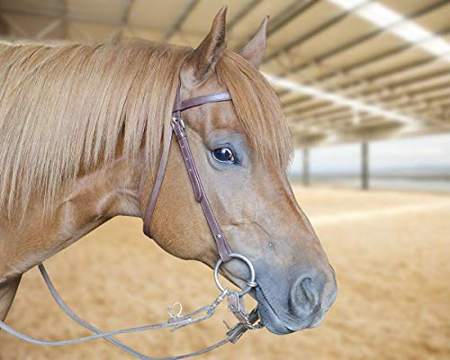 Tahoe TackKickin Country Square Browband Headstall USA Leather - color: Medium Oil, size: Mini