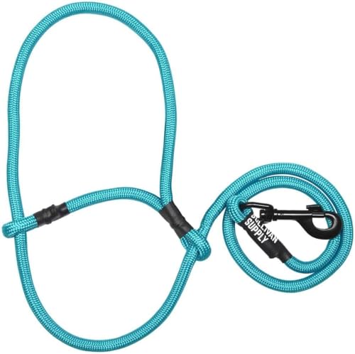Sheep Rope Halter with Snap Lead Blue Tide Teal