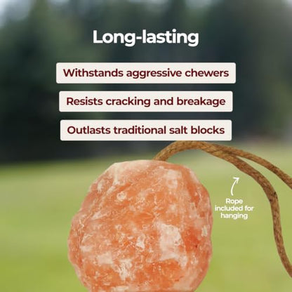 Horsemen's Pride Himalayan Salt Block on Rope for Horses, 4.4 Pounds, SS44