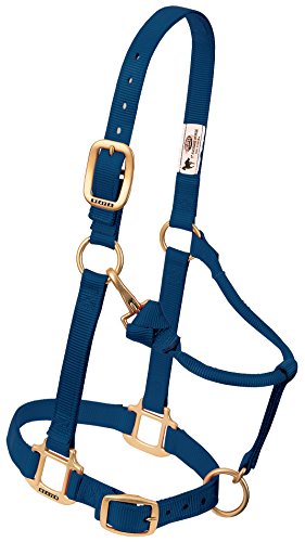 Weaver Leather Original Adjustable Nylon Horse Halter, Suckling, Navy