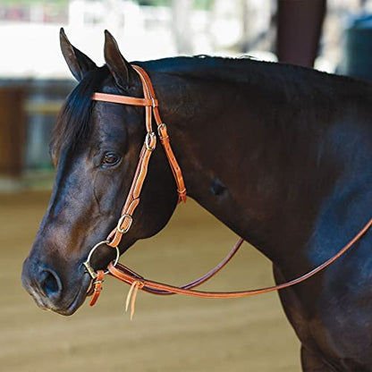 Schneiders Double S Latigo Lined Harness Leather Reins for Horses | Quality American Leather | Comfortable Latigo Lining | Double Stitched Durability | Water Tie Ends | Perfect Horse Handling Size