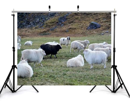 10x8ft Fabric Grass Highland Sheep Backdrop Fluffy White Wool Sheep Single Black Sheep Rocky Hill Pasture Countryside Photography Background Tapestry Party Rural Decorations Photo Props - size: 10x8ft