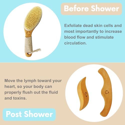 Dry Brushing Body Brush for Lymphatic Drainage with Wood Massage Tool | Vegan Dry Brush with Contoured Non-Slip Handle, Maderoterapia Gua Sha Kit for Anti-Cellulite, Body Sculpting & Sensitive Skin