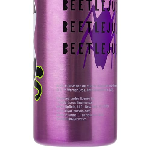 Silver Buffalo Beetlejuice Sandworm, Stainless Steel Water Bottle, 27oz | Say it Three Times, Includes Strap, 0.8 Liters - color: Beetlejuice, size: 27 Ounces