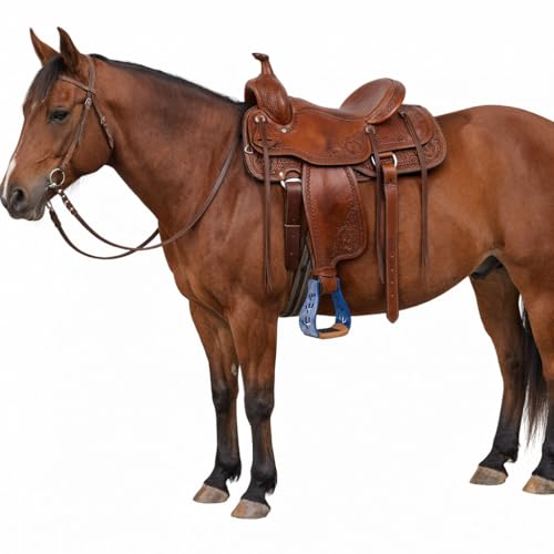CHALLENGER Horse Western 5" Slanted Offset Angled Cactus Engraved Aluminum Show Stirrups 51243 - color: Blue Cactus