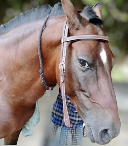 Majestic Ally Padded Leather Brow Band Headstall for Horses - color: Natural