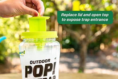 RESCUE! POP! Fly Trap – Large Reusable Fly Trap for Outdoor Use - style: Trap