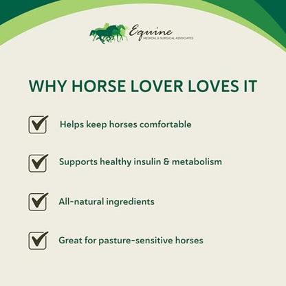 HEIRO Healthy Equine Insulin Rescue Nutritional Supplement for Horses, Natural Herbal Blend with Magnesium & Vitamin E, Supports Normal Metabolic Function & Hoof Comfort (40 Servings) - size: 40 Servings