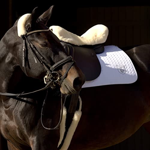 Werner Christ Horse Moon Cinch Western,Made of Real Sheepskin in Brown Brown Size 85cm - color: Brown Brown, size: 85cm