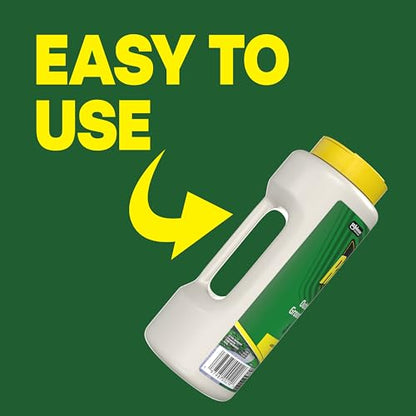 Raid Outdoor Wasp Ground Nest Killer, Dust Insecticide for Outside Household Use, Wasp Killer, Fast-Working and Odorless, 24 Oz