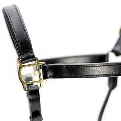 Jeffers Paris Padded Leather Horse Halter with Throat Snap, Adjustable Double Buckle Crown with Throat Snap, Triple Stitched Noseband for Cheek & Nose, Black - size: Cob