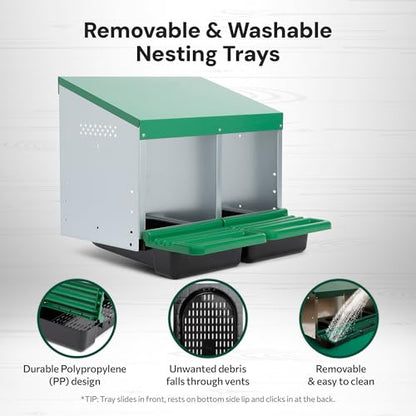 Homestead Essentials Classic Style 2 Compartment, Forward Rollout and Rollaway, Hen & Chicken Nesting Box with Integrated Perch and Protective Egg Laying Collection Lids - size: 20.8"L x 20.5"W x 20.0"H