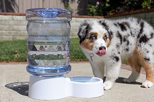 PetFusion H2O Gravity Pet Water Dispenser, 2.5 Gallon, Transparent