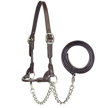 Derby Originals New and Improved Premium Round Rolled Leather Cattle Show Halter with Matching Chain Lead - color: Havana, size: Large (950lbs-1500lbs)