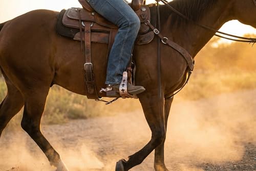CHALLENGER Western Show Horse Saddle Stirrups Aluminum Leather Tread Cross Engraved 5145v - color: Crosses Bronze with genuine Leather Tread