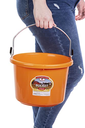 Plastic Animal Feed Bucket (Navy) - Little Giant - Round Plastic Feed Bucket with Metal Handle (8 Quarts / 2 Gallons) (Item No. P8ORANGE6) - color: Orange