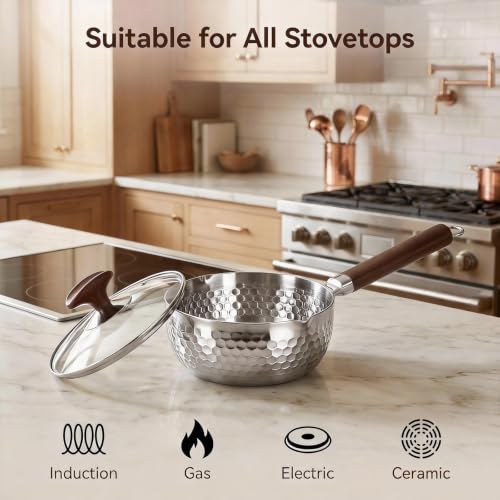 GREATLINK 18/8 Stainless Steel Small Saucepan with Lid and Pour Spouts