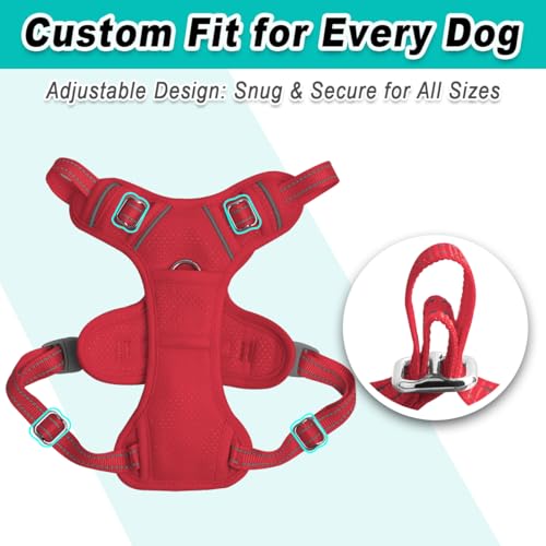 BARKBAY Dog Harness for Small Sized Dog No Pull Mesh 2 Clips Dog Vest - color: Red-Mesh, size: X-Small