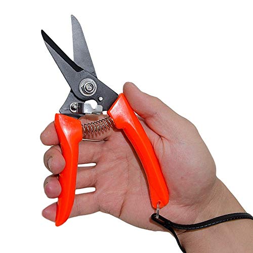 Goat Sheep Pig Hoof Trimmer Multipurpose Twig and Floral Trimming Shears for Garden with 2-inch Twin-Blade