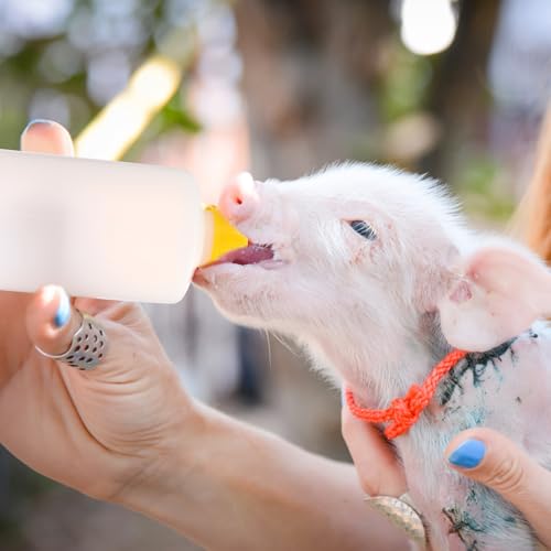 SEWACC 1 Set Lamb Feeding Bottles Milk Feeder Bottles with Nipples for Farm Animal Nursing Small Livestock