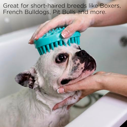 Groomer Essentials Rubber Curry Brush