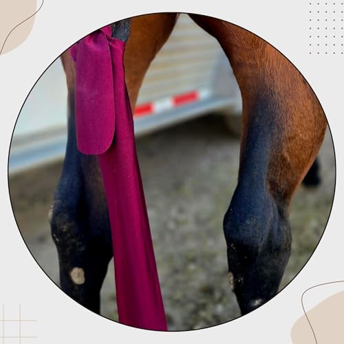 Ranch Hand Premium Tail Bag – Horse Tail Bag Made from Durable Stretchable – Gentle on Hair and Free from Damage – Horse Tail Protection Bag for Grooming – 24 Inches- Maroon - color: Maroon