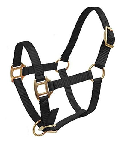 Showman FOAL/MINI Premium Nylon Halter w/Brass Hardware - color: Black