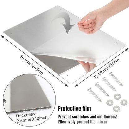 Sukh Acrylic Horse Mirror - 16.92 x 12.99 in Non Glass Stall Mirror