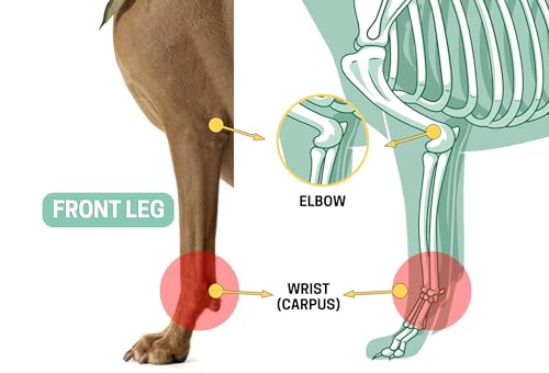 Dog Leg Brace Front Wrist or Carpal Support for Canine Dogs, Brace Compression Wraps with Metal Splints, Prevents Ankle Injuries&Sprains, Helps with Loss of Stability Caused by Arthritis - size: S/M (Pair)