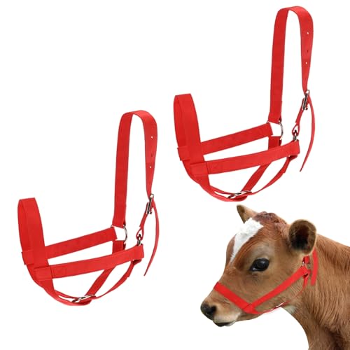 M METERXITY 2-Pack Adjustable Cattle Cow Calf Halter, 19.68"-23.62" Nylon Livestock Cow Halter for Miniature Horse/Donkey/Goat/Cattle [Red]