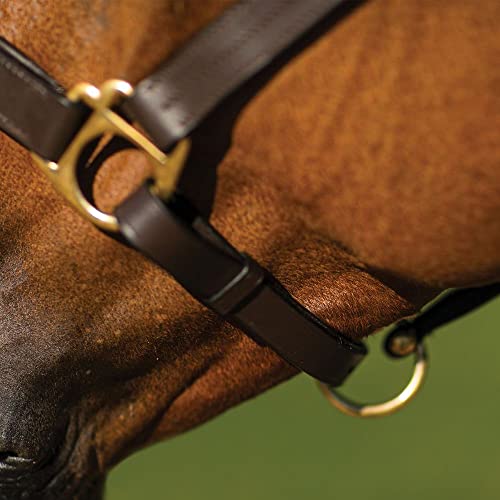 Schneiders Premier Dorchester Padded Leather Halter for Horses | Fancy Stitch Detailing | Soft Buffalo Leather | Padded for Comfort - size: Thoroughbred