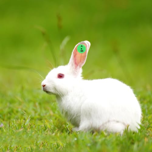 HEMOTON Rabbit Ear Tags, 100-Piece Numbered Identification Labels